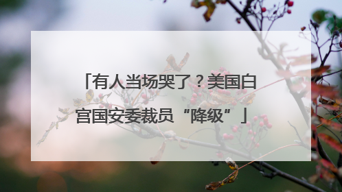 有人当场哭了？美国白宫国安委裁员“降级”
