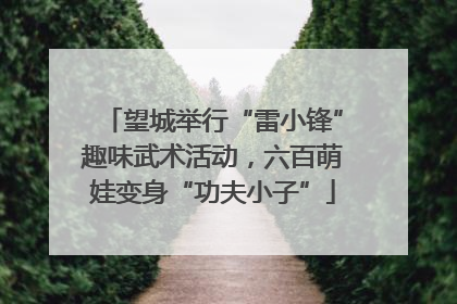 望城举行“雷小锋”趣味武术活动，六百萌娃变身“功夫小子”