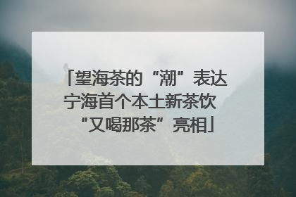 望海茶的“潮”表达 宁海首个本土新茶饮“又喝那茶”亮相