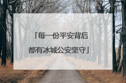 每一份平安背后 都有冰城公安坚守