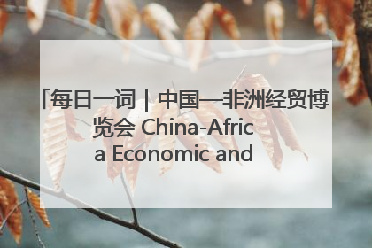 每日一词｜中国—非洲经贸博览会 China-Africa Economic and Trade Expo