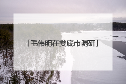 毛伟明在娄底市调研
