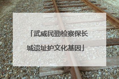 武威民勤检察保长城遗址护文化基因