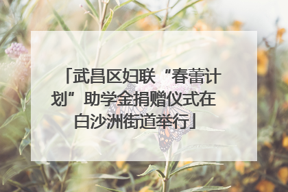 武昌区妇联“春蕾计划”助学金捐赠仪式在白沙洲街道举行