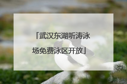 武汉东湖听涛泳场免费泳区开放