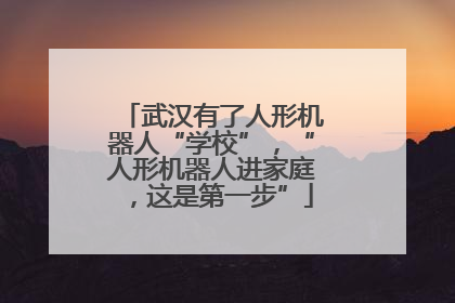 武汉有了人形机器人“学校”，“人形机器人进家庭，这是第一步”