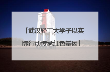 武汉轻工大学子以实际行动传承红色基因