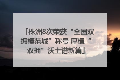 株洲8次荣获“全国双拥模范城”称号 厚植“双拥”沃土谱新篇