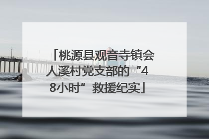 桃源县观音寺镇会人溪村党支部的“48小时”救援纪实