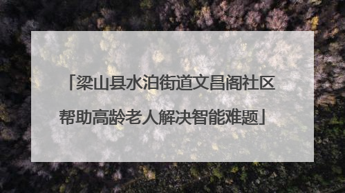 梁山县水泊街道文昌阁社区帮助高龄老人解决智能难题