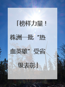 榜样力量！株洲一批“热血英雄”受省级表彰