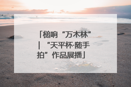 槌响“万木林”｜“天平杯·随手拍”作品展播