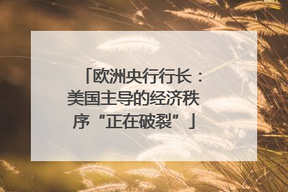 欧洲央行行长：美国主导的经济秩序“正在破裂”