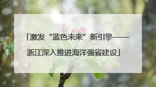 激发“蓝色未来”新引擎——浙江深入推进海洋强省建设