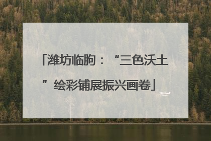 潍坊临朐：“三色沃土”绘彩铺展振兴画卷