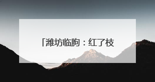 潍坊临朐：红了枝头 甜了心头 油桃丰收季果农笑开颜