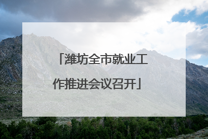 潍坊全市就业工作推进会议召开