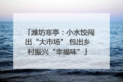 潍坊寒亭：小水饺闯出“大市场” 包出乡村振兴“幸福味”