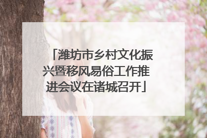 潍坊市乡村文化振兴暨移风易俗工作推进会议在诸城召开