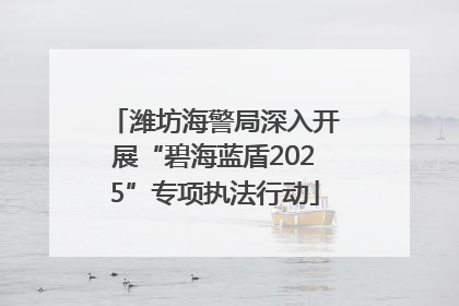 潍坊海警局深入开展“碧海蓝盾2025”专项执法行动