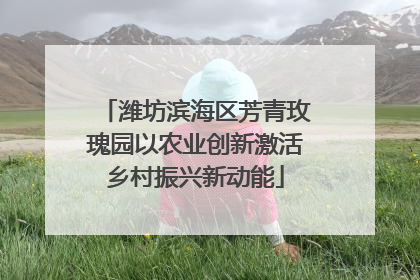 潍坊滨海区芳青玫瑰园以农业创新激活乡村振兴新动能