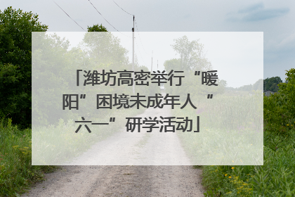 潍坊高密举行“暖阳”困境未成年人“六一”研学活动
