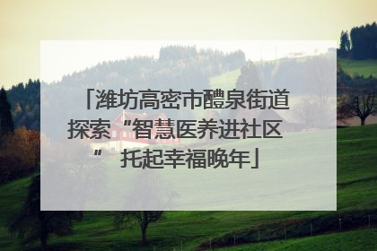 潍坊高密市醴泉街道探索“智慧医养进社区” 托起幸福晚年