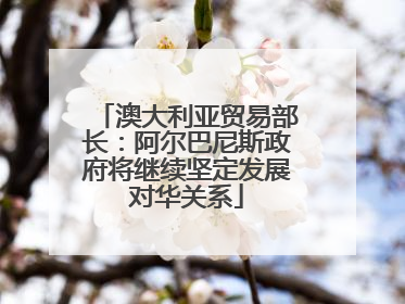 澳大利亚贸易部长：阿尔巴尼斯政府将继续坚定发展对华关系