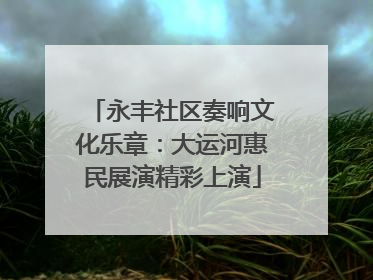 永丰社区奏响文化乐章：大运河惠民展演精彩上演