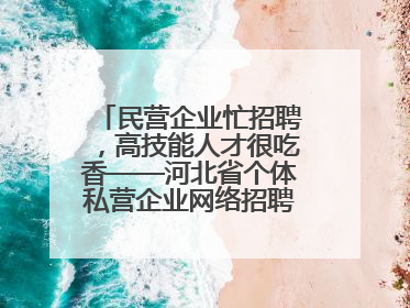 民营企业忙招聘，高技能人才很吃香——河北省个体私营企业网络招聘大会扫描