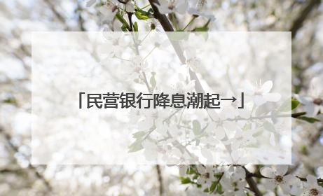 民营银行降息潮起→