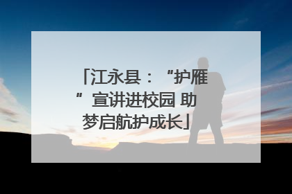 江永县：“护雁”宣讲进校园 助梦启航护成长