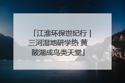 江淮环保世纪行｜三河湿地研学热 黄陂湖成鸟类天堂
