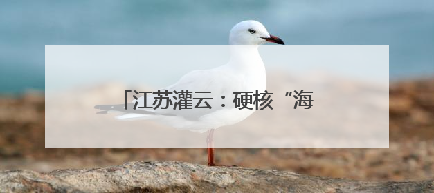 江苏灌云：硬核“海陆空”警务矩阵 锻造平安守护新高地