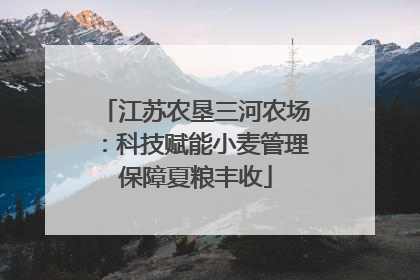 江苏农垦三河农场：科技赋能小麦管理保障夏粮丰收