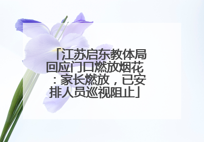 江苏启东教体局回应门口燃放烟花：家长燃放，已安排人员巡视阻止