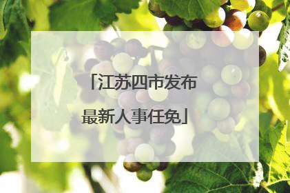江苏四市发布最新人事任免