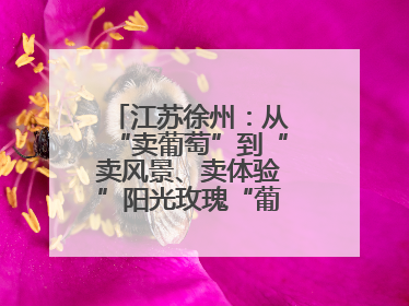 江苏徐州：从“卖葡萄”到“卖风景、卖体验”阳光玫瑰“葡”就致富路