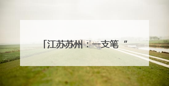 江苏苏州：一支笔“画”出三本幸福账