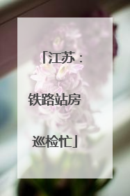 江苏：铁路站房巡检忙