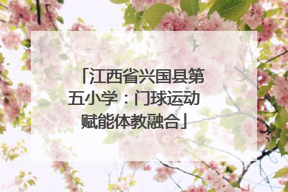 江西省兴国县第五小学：门球运动赋能体教融合