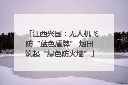 江西兴国：无人机飞防“蓝色盾牌” 烟田筑起“绿色防火墙”