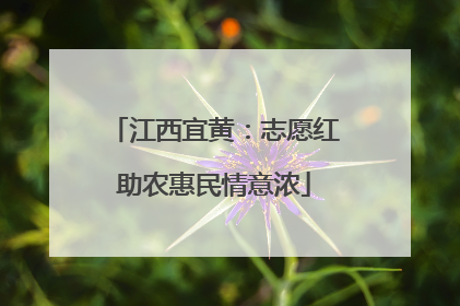 江西宜黄：志愿红助农惠民情意浓