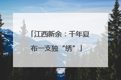 江西新余：千年夏布一支独“绣”