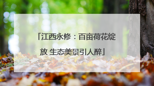 江西永修：百亩荷花绽放 生态美景引人醉