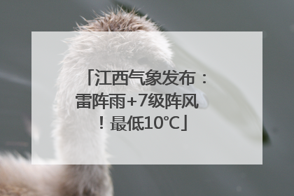 江西气象发布：雷阵雨+7级阵风！最低10℃
