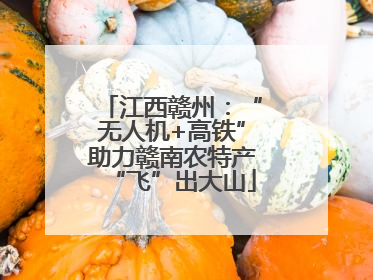 江西赣州：“无人机+高铁”助力赣南农特产“飞”出大山