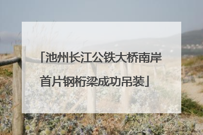 池州长江公铁大桥南岸首片钢桁梁成功吊装
