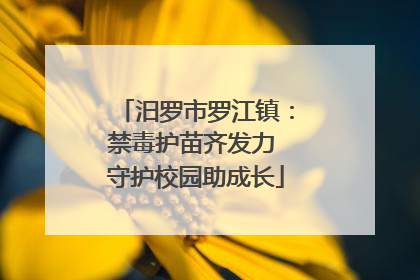汨罗市罗江镇：禁毒护苗齐发力 守护校园助成长