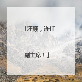 汪顺，连任副主席！